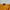 Obey Streetwear Skater T-shirt Pria gold yellow photo 5