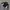 Nike Vintage Windbreaker Pria black cream photo 1