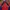 K2 Sportswear Casual Track jacket Pria red photo 3