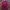 Sportswear Casual Track jacket Pria red photo 4
