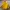 Kodak Vintage Futurist Bomber jacket Pria yellow photo 1