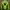Vaude Sportswear Casual Track jacket Pria green photo 6
