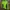 Vaude Sportswear Casual Track jacket Pria green photo 2