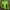 Vaude Sportswear Casual Track Jacket Pria Green