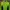 Vaude Sportswear Casual Track jacket Pria green photo 3