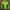 Vaude Sportswear Casual Track jacket Pria green photo 1