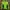 Vaude Sportswear Casual Track Jacket Pria Green