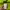 Vaude Sportswear Casual Track jacket Pria green photo 5