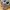 New Balance Streetwear Sportswear Sneakers Pria brown gray photo 6