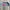 The North Face Streetwear T-shirt Pria gray photo 2