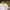 The North Face Streetwear T-shirt Pria white photo 2