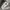 Kodak Y2K Gorpcore Windbreaker Pria gray photo 5