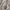 Kodak Y2K Gorpcore Windbreaker Pria gray photo 3