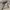Kodak Y2K Gorpcore Windbreaker Pria gray photo 4