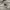 Kodak Y2K Gorpcore Windbreaker Pria gray photo 2