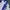 Yonex Vintage Sportswear Windbreaker Pria white blue photo 2