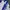 Yonex Vintage Sportswear Windbreaker Pria White Blue