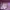 Vintage Minimalist Hoody Pria purple photo 2