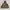 Gorpcore Sportswear Windbreaker Pria tan photo 7