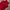 Luxury Midi dress Wanita burgundy photo 3