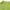 Dickies Streetwear Minimalist T-shirt Pria green photo 3