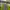 Uniqlo Sportswear Track jacket Pria green gray photo 2