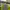 Uniqlo Sportswear Track Jacket Pria Green Gray