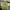 Uniqlo Sportswear Track Jacket Pria Green Gray