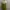 Luxury Midi dress Wanita white green photo 6
