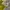 Luxury Midi dress Wanita white green photo 2