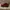 Clarks Casual Loafer Pria red photo 4