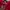 Evisu Biker Hoody Pria red photo 5