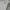 Polo Ralph Lauren Indie Casual Hoody Pria gray photo 2