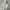 Polo Ralph Lauren Indie Casual Hoody Pria Gray