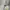 Polo Ralph Lauren Indie Casual Hoody Pria gray photo 4