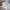 Nike Streetwear Y2K Windbreaker Pria white photo 6