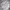 Nike Streetwear Y2K Windbreaker Pria white photo 3