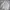 Nike Streetwear Y2K Windbreaker Pria white photo 1