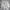 Nike Streetwear Y2K Windbreaker Pria white photo 2