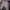 Stussy Streetwear Formal pants Pria multicolor photo 2