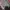 Stussy Streetwear Formal pants Pria multicolor photo 8