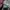 Stussy Streetwear Formal pants Pria multicolor photo 7