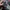 Stussy Streetwear Formal pants Pria multicolor photo 1