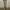 Joff Jeans Streetwear Casual Casual pants Pria tan khaki photo 2