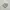 New Balance Sportswear Sneakers Wanita cream photo 1