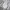 Adidas Streetwear Y2K Windbreaker Pria white photo 3