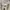 Adidas Streetwear Y2K Windbreaker Pria white photo 5