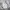 Adidas Streetwear Y2K Windbreaker Pria white photo 2