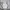 Adidas Streetwear Y2K Windbreaker Pria white photo 1