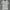Starter Casual Casual shirt Pria white photo 1